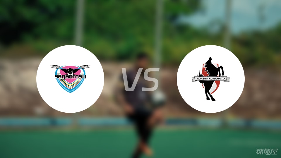 鸟栖砂岩, 维金塔斯, 领先