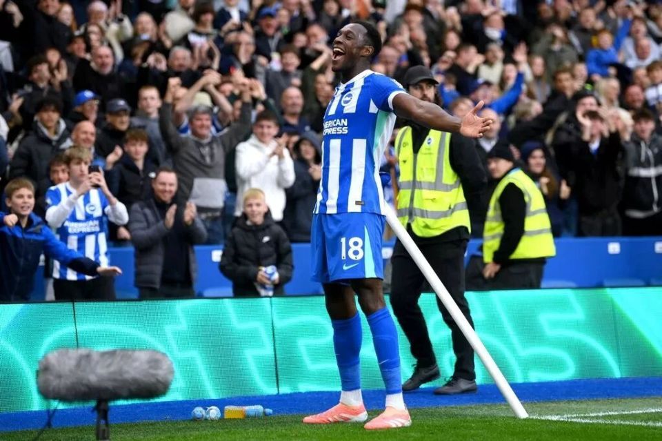 却未能为队, xvVsW