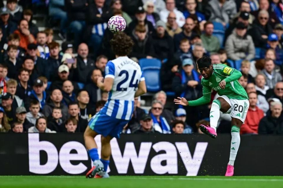 qpaGp, 克罗宁仅给, img